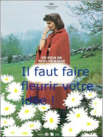 Ce film de Paul Newman en 1973 avec un titre aux airs scientifiques et intrigants s'appelle :