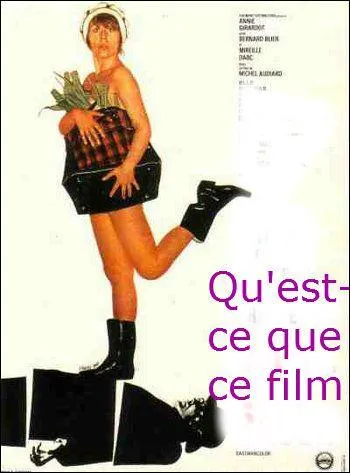 Le personnage principal est un exemple... ou presque ! C'est encore un film de Michel Audiard mais en 1970 cette fois :