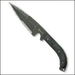 Dan la mission 'Echec et mat' on tue Shepherd en lui lanant un couteau dans...