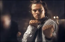 Quel est ce le seul film o DiCaprio a... pas du tout la classe ? (bon aprs a peut arriver)