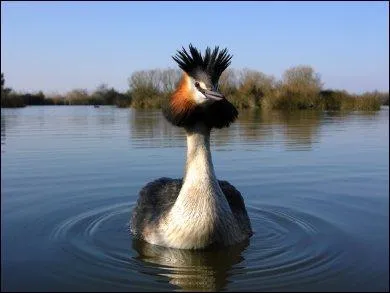 Comment s'appelle ce parc ornithologique de Gironde,  deux pas d'Arcachon ?