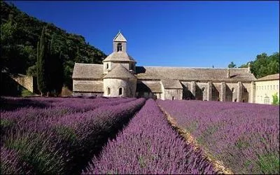 Cette abbaye est situe en Provence, dans le dpartement du Vaucluse, et est entoure de champs de lavande. Quel est son nom ?