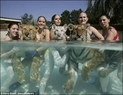 Quand je rve aux loups / C'est Lola qui saigne / Quand fourche ma langue !