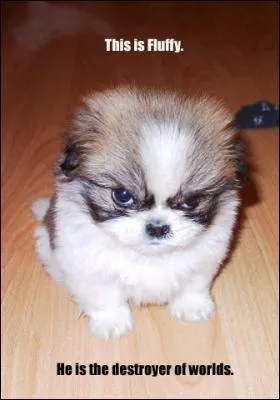 La susceptibilit est un vilain dfaut ! Il y a aussi des prnoms qui expriment une qualit comme :