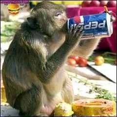 Une petite soif, n'est-ce pas ? L'un des prnoms de marque pour les filles le plus courant aux tats-Unis est :