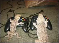 Zelda est un prnom :