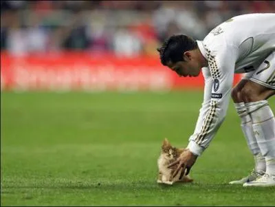 5- Des chats  la place du ballon : Parmi ces joueurs, avec lequel Cristiano Ronaldo est-il coquipier ?