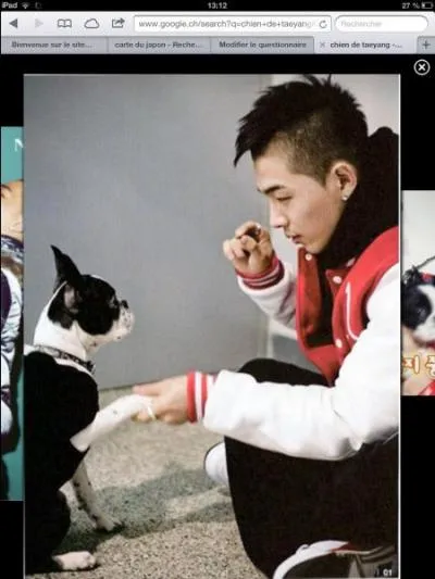 Comment s'appellait le chine de Taeyang 