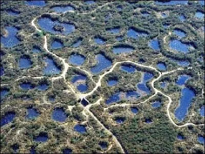 Quelle est cette rserve naturelle sur la commune Vouneuil-sur-Vienne o vous dcouvrirez la Drosra  feuilles rondes et L'Ecrevisse  pattes blanches ainsi que le Circate Jean-le-Blanc ?