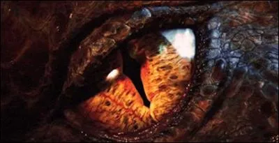 De quelle race est Smaug ?