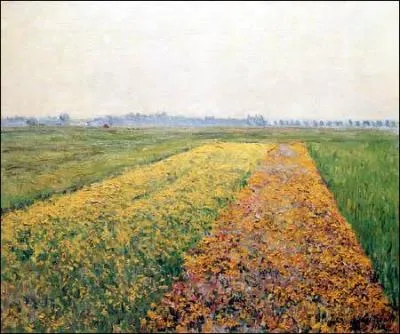 Plaine de Gennevilliers.