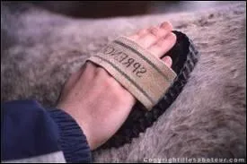 Que veut dire  pansage  ?