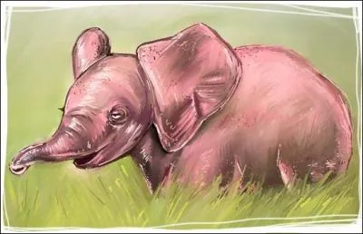 Que signifie l'expression Voir des lphants roses ?