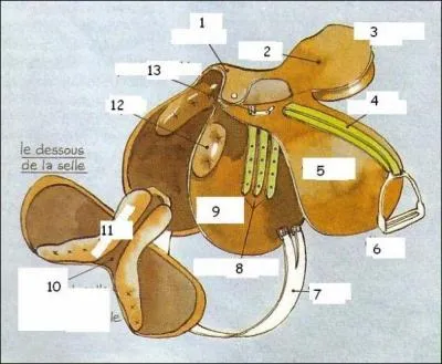 Comment s'appelle la partie numro 8 ?