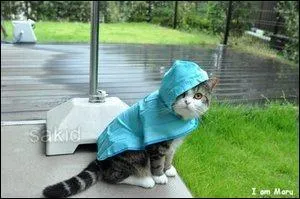 De juillet  septembre 2001, elle tait rouge au Kerala (Inde). Je parle de la :