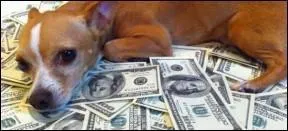 Le chef-lieu de ce dpartement est Bourge. Il s'agit donc du :