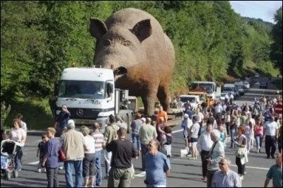 Qui dit randonne dit cailloux ! Nous avons vu beaucoup de grs. D'ailleurs, nous avons aussi vu un sanglier. Lui aussi, il a des grs. Que sont les grs pour un sanglier mle ?