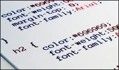 Quel est le langage de dveloppement informatique qui permet d'diter des styles ?