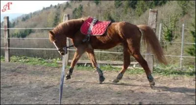 Qu'est-ce qui conditionne le tourner ?