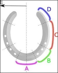 Comment s'appelle la partie B ?