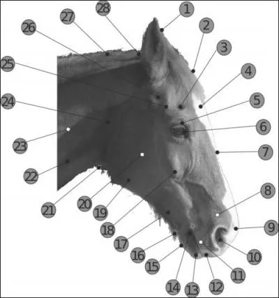Comment s'appelle les parties n 7 et n 24 ?