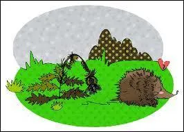 Laquelle de ces propositions ne peut pas repiquer ?