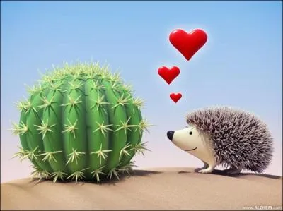 Que dit un bb hrisson lorsqu'il se frotte  un cactus ?