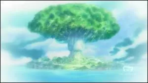 Dans quelle mer est situe l'le d'Ohara d'o est originaire Robin ?