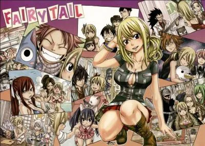 Comment s'appelle le livre officiel d'illustration de  Fairy Tail  ?