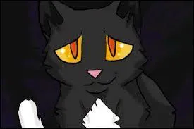 Qui est partie  cause de Griffe de Tigre ?