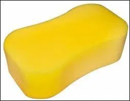 Pourquoi je prends mon ponge ?