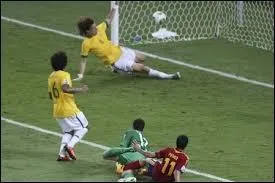 Qui a sauv les cages brsiliennes ?