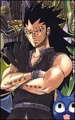 Qui est le magicien au pouvoir de chasseur de dragon d'acier ?