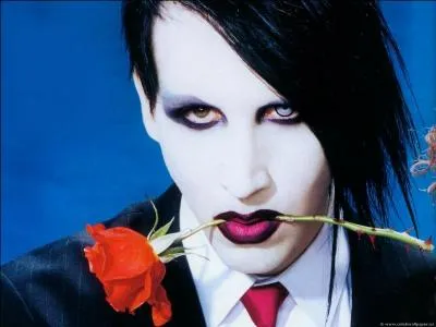 De quel film est tire la musique '' Umbrella   de Marilyn Manson ?