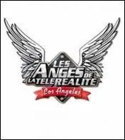 Combien y a-t-il eu d'Anges dans toute la saison ?