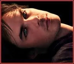 Dans la saison 1, comment voit-on Damon ?