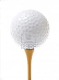 A quel sport appartient ce ballon ?