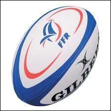 A quel sport appartient ce ballon ?