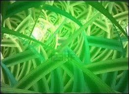 Quelle est cette couleur ?