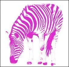 Quelle est cette couleur ?