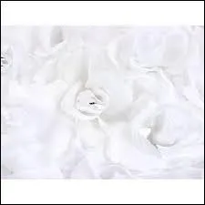 Quelle est cette couleur ?