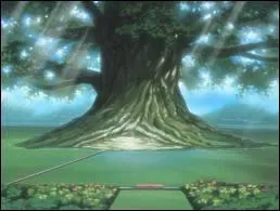 Le bandeau frontal de Taki reprsente :