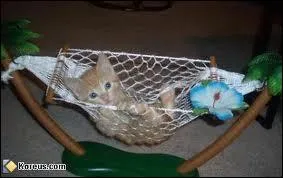 Lve-toi, tu t'es assez repos ! Autrefois quand la rcration tait finie, on sonnait une cloche. Mais une cloche est aussi une varit de :