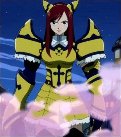 Comment s'appelle cette armure ?