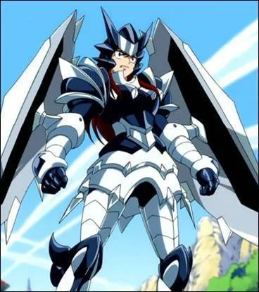 Comment s'appelle cette armure ?