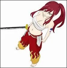 Comment s'appelle cette armure ?