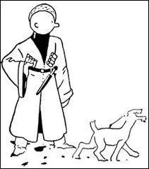 Et Tintin dans quelle case apparat-il en premier dans son aventure chez les Soviets (dans la premire dition ) ?