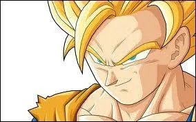 Quelle est la technique la plus puissante de Goku (DBZ & GT) parmi celles-l ?