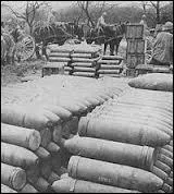 Quelle fut la plus clbre bataille de la Premire Guerre mondiale ?