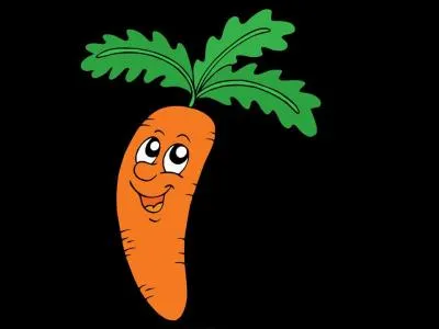 Qui a dit lors des videos diaries qu'il aimait les filles qui mangent des carottes ?